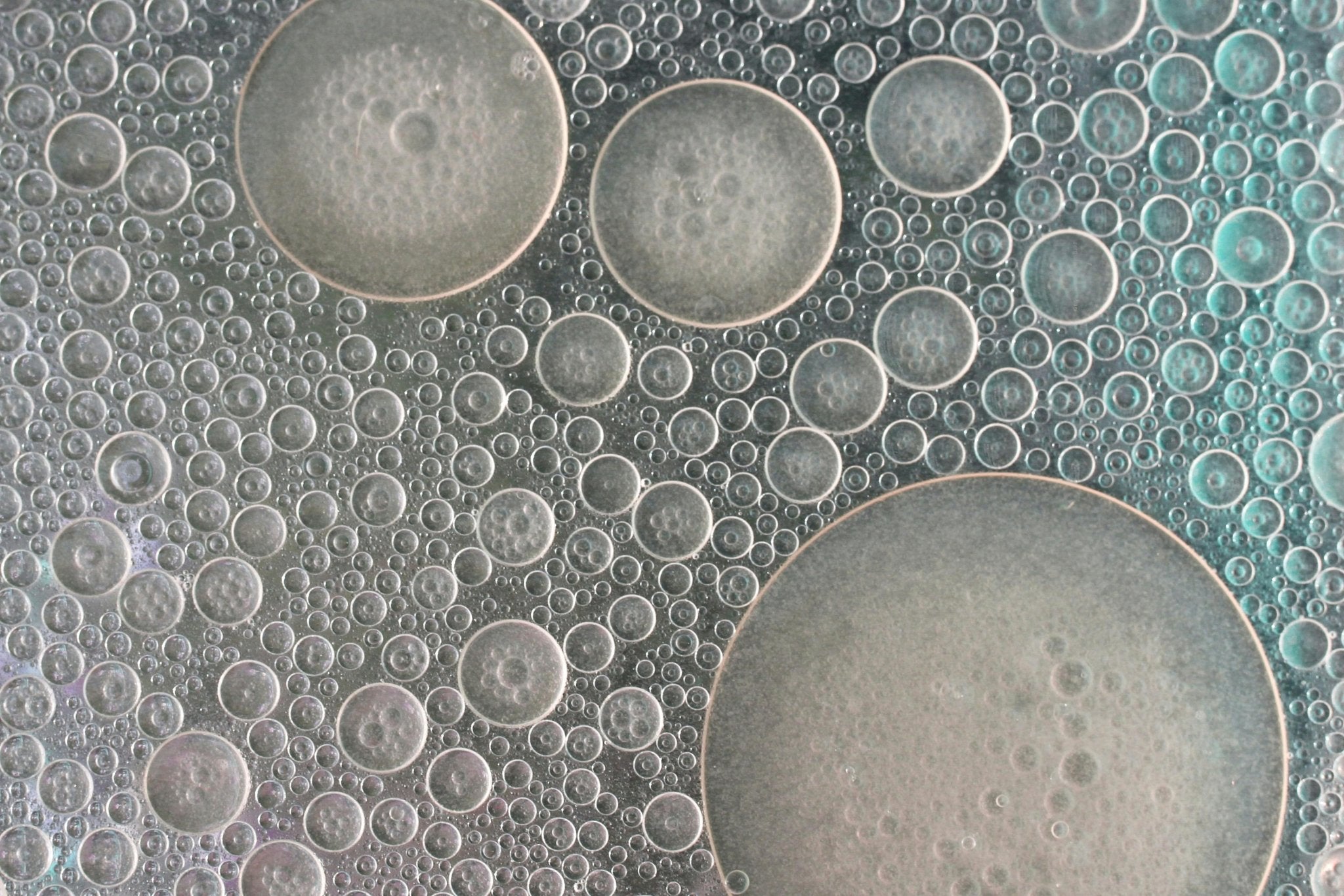 Warum Parabene in Gleitgel schdlich sind Tipps fr Intimgesundheit LubeLab Warum Parabene in Gleitgel schdlich sind Tipps fr Intimgesundheit LubeLab